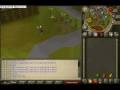 videos de Runescape glitch