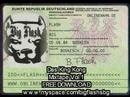 KING KONG MIXTAPE