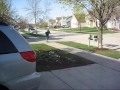 short sk8ing video