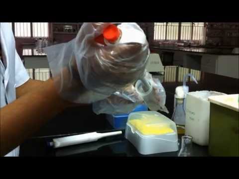 how to isolate chromosomal dna