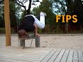 Wege Zum Fips #2