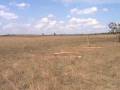videos de Finca La Primavera_4
