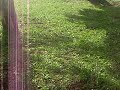 Imagemferias 124