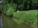 Mein erster Werbefilm !