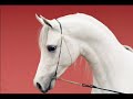 Caballos