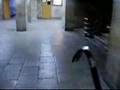 Real Half-Life