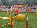 Szetland agility :)