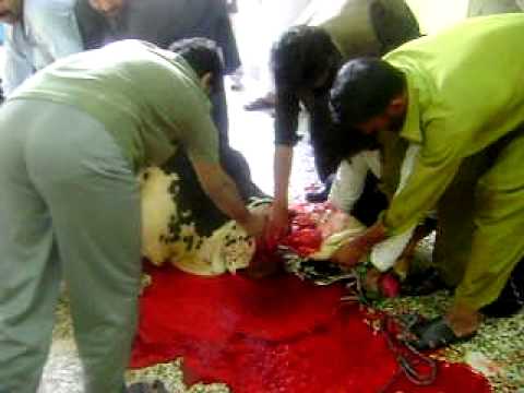 qurbani2 - bangush colony Rawalpindi 2011.