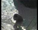 jangan mandi bogel di kolam