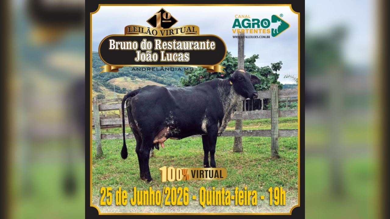 1º LEILÃO VIRTUAL BRUNO DO RESTAURANTE - ANDRELÂNDIA/MG - 25/06/2026