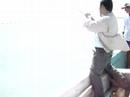 Jurel en equipo ligero (Jack Crevalle on light rod&reel)