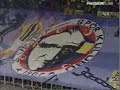 fenerbahçe & türübün salsa