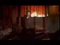 Kate Bush - The Sensual World