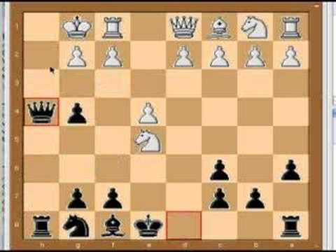 chess knight
