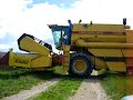 new holland au colza