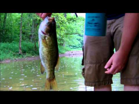 creek bass fishing