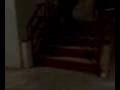 3-stair-ollie