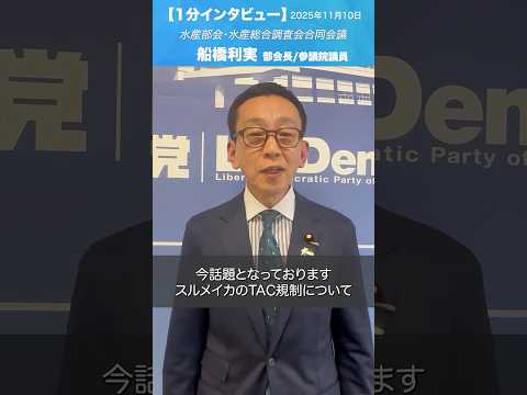 スルメイカのTAC規制について #船橋利実 水産部会長/参議院議員