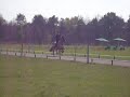 Hengstenkeuring Breiğablik #3 Hengstenkeuring Breiğablik #3