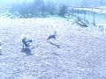 chasing dogs chasing dogs