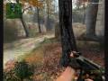 CSS - Weird Gun Models Only Gltich