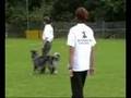 Brigitte Lange - 1.Platz - dhv Obedience-DM 2008