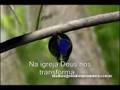 TRANSFORMAÇÃO ORGÂNICA