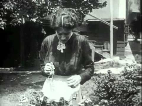The Blot (1921) Der Filmkürbis