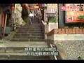 在「九份老街」尋覓電影《悲情城市》的泛黃回憶