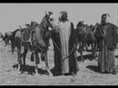 The Israel Palestine Conflict Pt2 ...