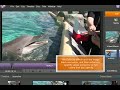 Adobe Premiere Elements Effects and Transitions Adobe Premiere Elements Effects and Transitions