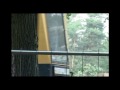 Wahnsinnstage - Kelsterbach bei Ffm: 21. bis 23. August