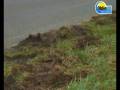 videos de Tragischer Unfall in Buxtehude