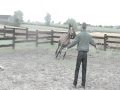 vrijspringen Jonge springpaarden