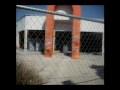 video kane.wmv