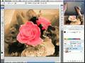 Intuos3 × Photoshop (レイヤーマスクを使ったレタッチ)