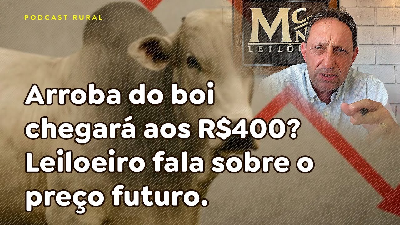 Arroba do boi chegará aos R$400? Leiloeiro fala sobre o preço futuro.