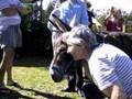 videos de GSDS Inc's Volunteers & Visitors
