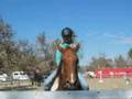videos de horseluver1699 and I