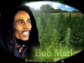 Bob Marley - Ganja Gun with lyrics
