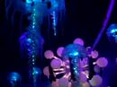 Sensation 2008