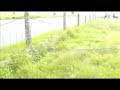 Isle of Man 07 - Senior TT clips