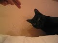 el lio hates my fingers