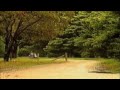 Something Stupid - Two Fat Ladies - Episode 4