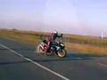 motorad