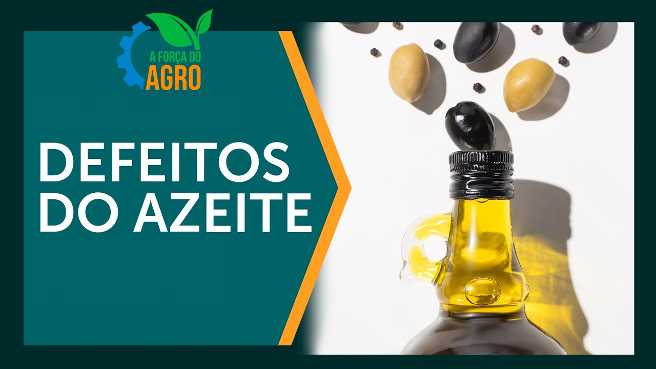 Ranço, fermentado, avinagrado: Três defeitos comuns no azeite | A Força do Agro
