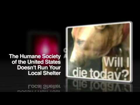 Consumer Alert from HumaneWatch