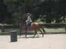 Me and my horse Scotty