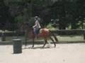 Me and my horse Scotty