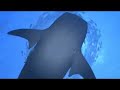 Aqua (PS3) - TGS 07 Trailer [PSMotion]